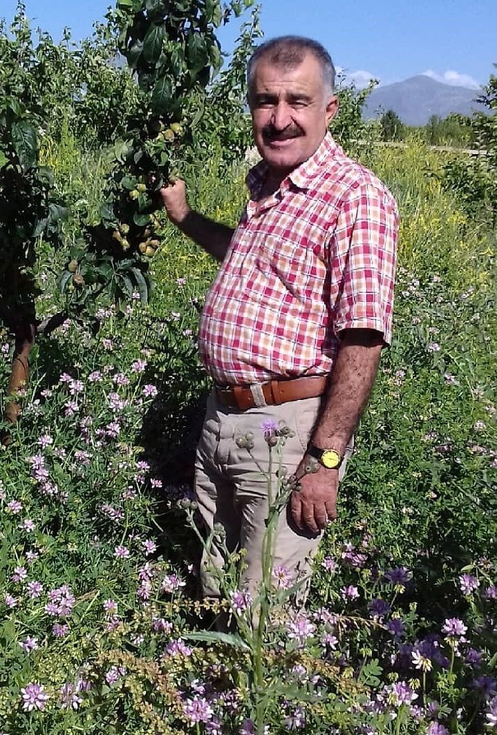 <em><strong>Vincenzo E.</strong></em>